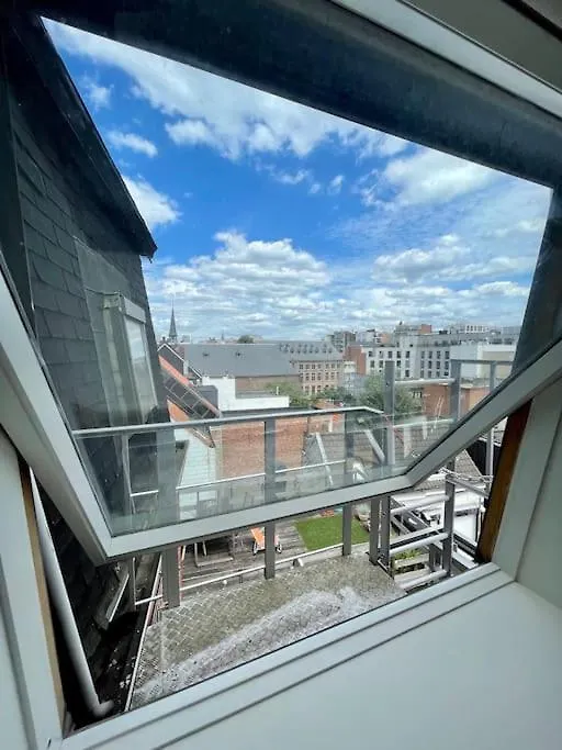 Schitterend Sint - Jacobs Loft In Antwerpen Apartment 0*, Antwerp Belgium